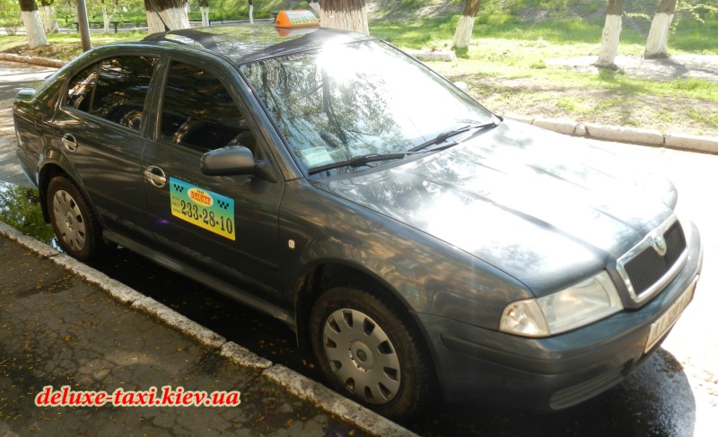 Skoda Octavia (deluxe-taxi.kiev.ua) (1)